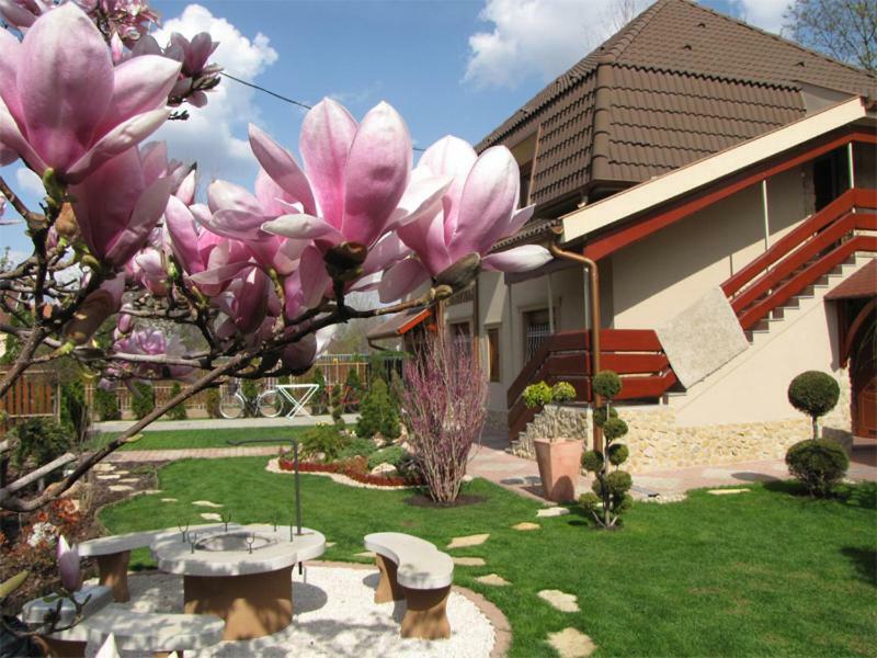 Szegfu Apartman Villa Hajdúszoboszló Exteriör bild